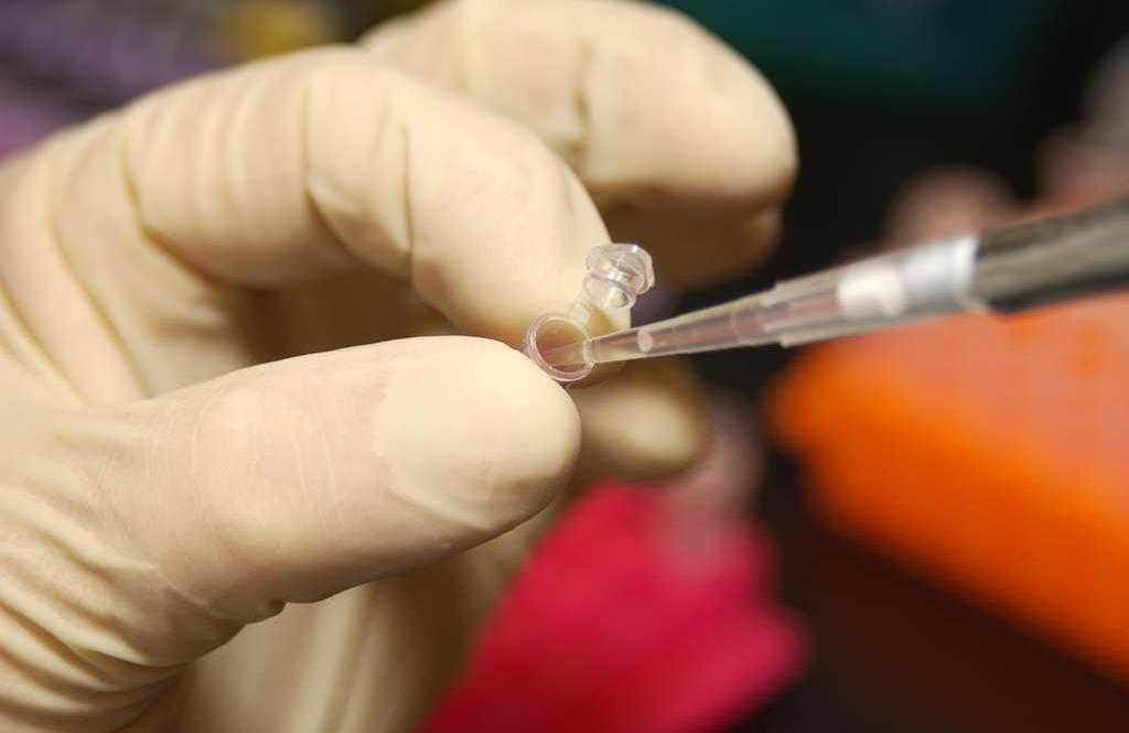 微量移液与制剂操作示意图